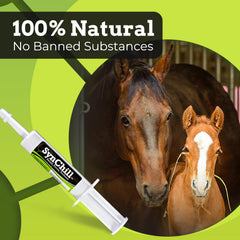 SynChill single-dose syringe demonstrates easy administration during busy show days.