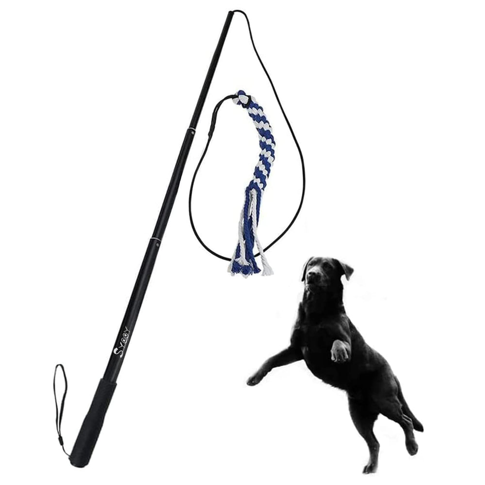 SYOOY Flirt Pole holder and dog teaser demonstrating interactive play for bonding.