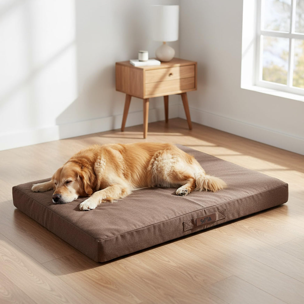 Sytopia 42-inch indestructible dog bed in crate for durable comfort.