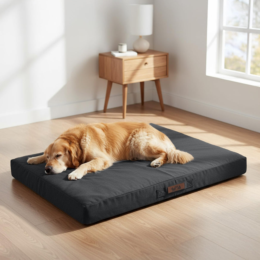 Sytopia 42-inch crate bed outside view shows durable construction with waterproof protection for adventures