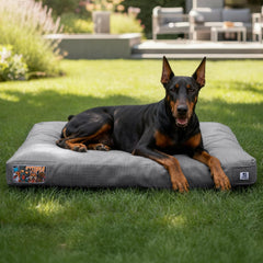 Sytopia 42in dog bed front view showing sturdy support for large dogs.