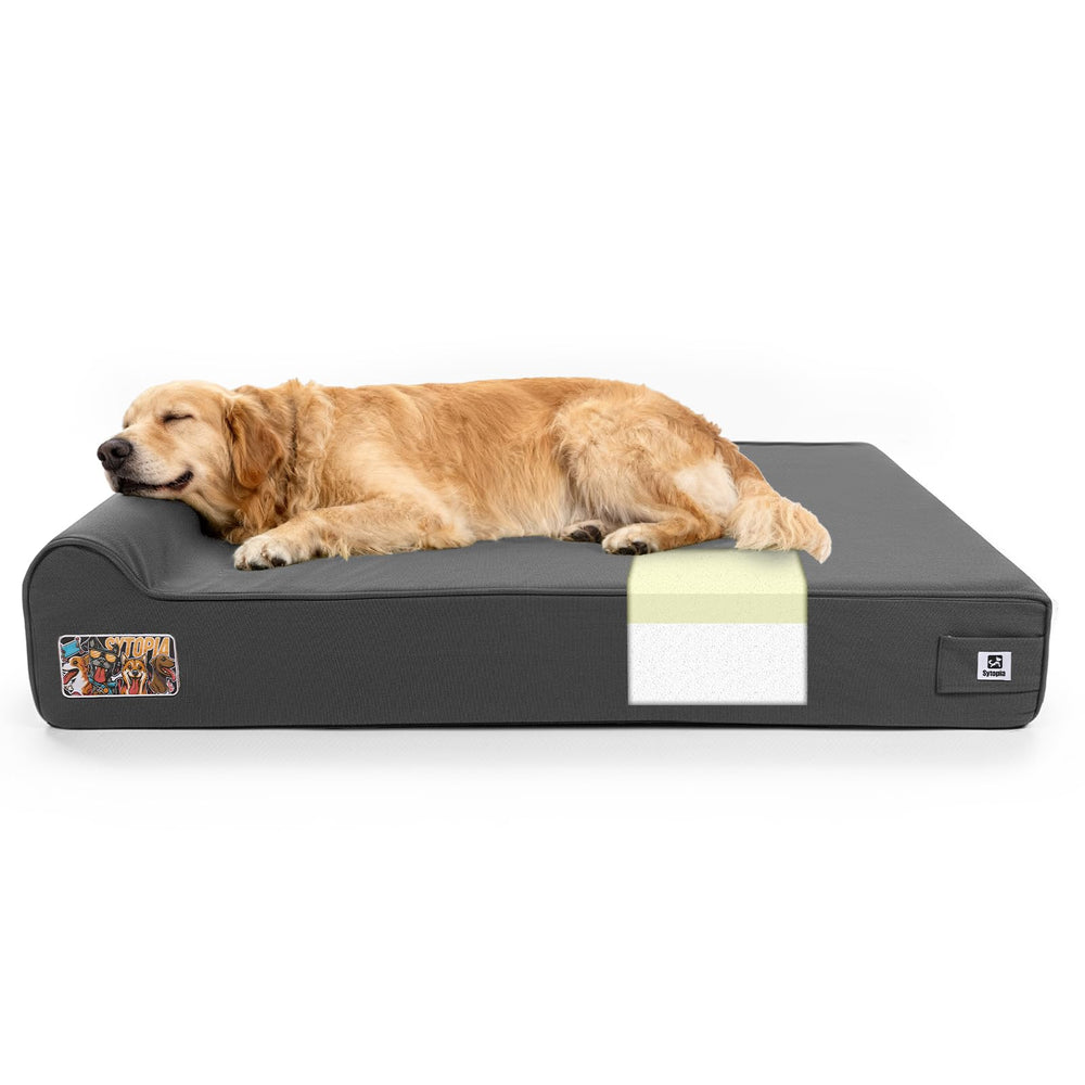 Sytopia XXL dog bed outdoor-mattress shows spacious comfort for large breeds.