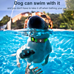 SZJCLTD SmartTag2 anti-chew design prevents tag disturbance on active dogs.