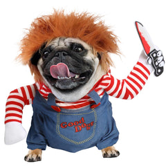 T2Y Deadly Doll Chucky wig on a dog for fun Halloween photos.
