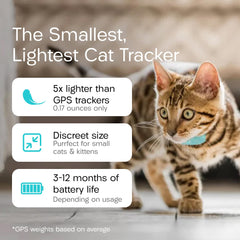TabCat V2 tag on cat collar demonstrates lightweight tracking.