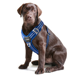 Tacwild No Pull Dog Harness Blue-L front view for comfortable daily walks