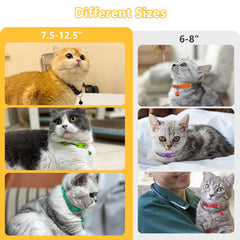 Taglory breakaway clasp on cat collar for quick-release safety