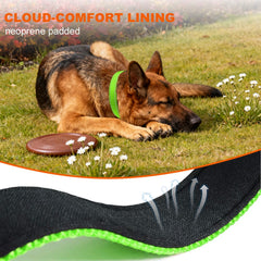 Taglory adjustable nylon dog collar in five sizes for a secure fit.