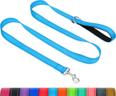 Taglory dog leash double-sided reflective for night walks improving visibility and safety.