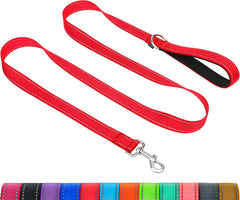 Taglory dog leash with double-sided reflective stitching improves safety during night walks.