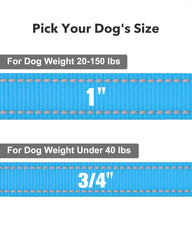 Taglory dog leash 2 mm nylon webbing ensures durability for daily use.