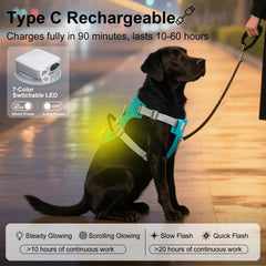 Taglory light-up harness airTag holder close-up showing secure tracker pocket.
