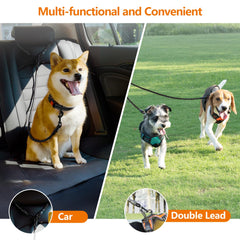 Taglory reflective stitching enhances nighttime visibility during walks.