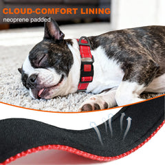 Taglory reflective stitching increases nighttime visibility for safer evening walks