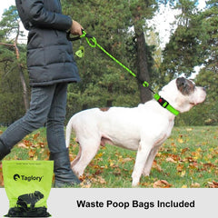 Taglory rope dog leash reflective-threads boost night visibility.