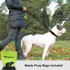 Taglory Rope Dog Leash reflective threads enhance night visibility