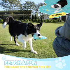 TagME dog plays fetch with blue toy for active engagement.