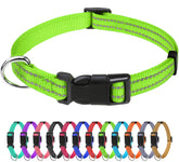 TagME reflective dog collar green 3/8 inch nylon webbing provides high visibility at night