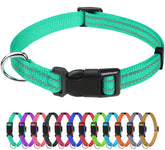 TagME Reflective Nylon Dog Collar turquoise boosts night visibility for safer evening walks.