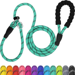 TagME Slip Lead 6ft turquoise shows durable rope for confident daily walks