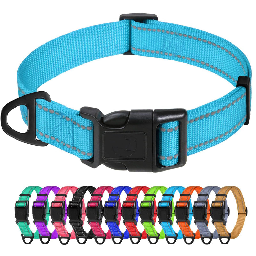 TagME small dog collar sky blue close-up highlights durable nylon and comfortable fit