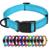 TagME small dog collar sky blue close-up highlights durable nylon and comfortable fit