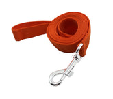 TAIDA strong nylon dog leash clip closeup shows secure metal hook for confident leash control.