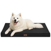 Tail Stories outdoor large washable dog bed front view shows spacious comfort for big dogs