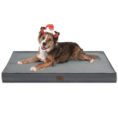 Tail Stories outdoor orthopedic bed 36x27 front view ideal for spacious lounging of large dogs