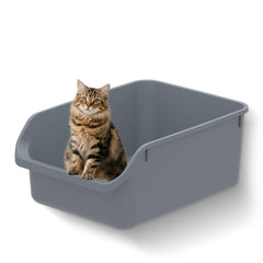 TAILRYTH large cat litter box with open top supports easy entry for kittens and seniors