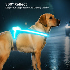 Tailuxe light-up-dog-harness ergonomic-fit for comfortable wear across breeds