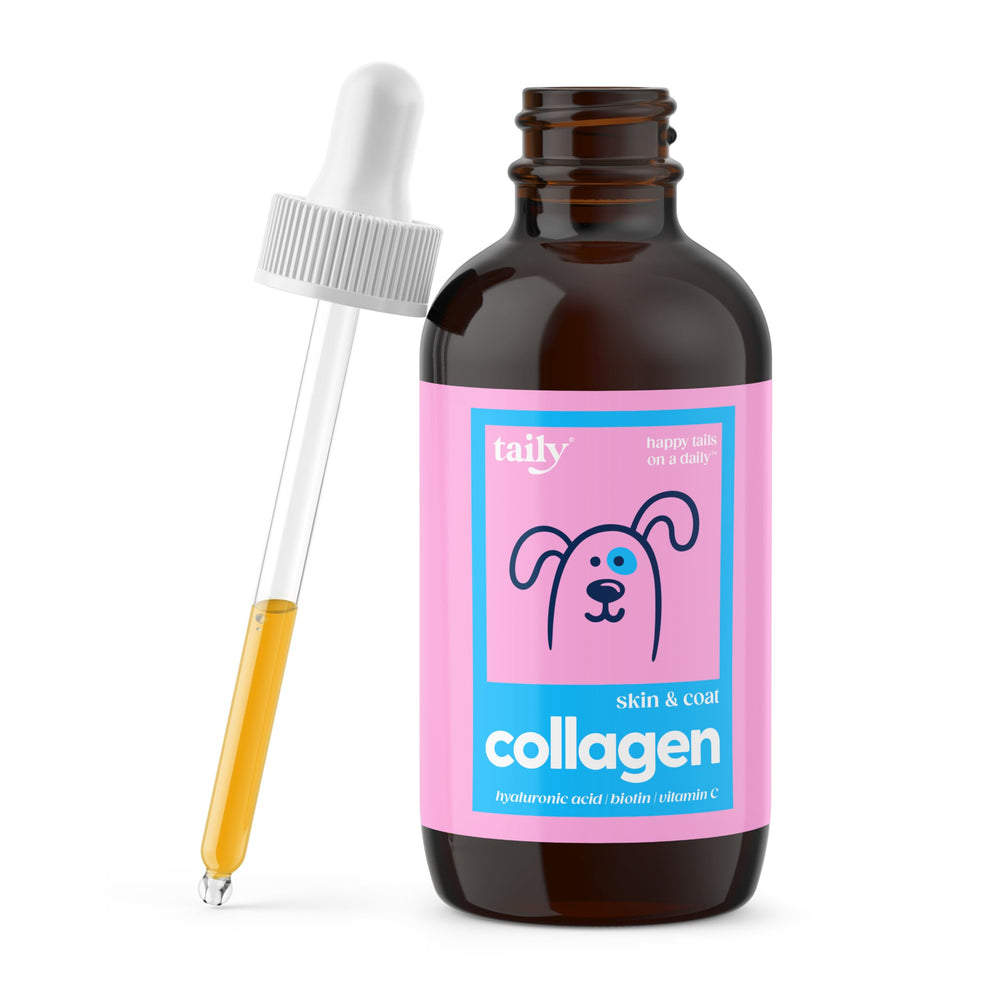 Taily collagen liquid bottle pour demonstrates easy dosing for skin and coat support.