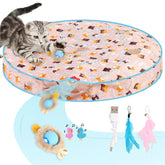 TAIMUTTAL ball-under-cover activates indoor enrichment during playful hunting sessions.