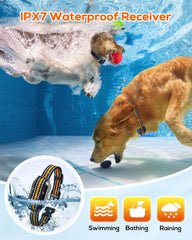 Tallentrol IPX7 waterproof dog collar for all-weather use.