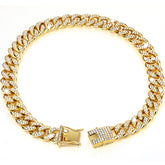 Tallew Gold Dog Chain Collar closeup shows zirconia sparkle for stylish daily wear.