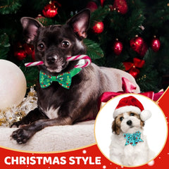 Talltalk dog collar-bow set highlights playful charm during celebrations.