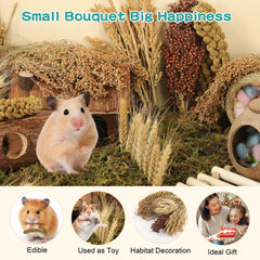 TAOKEKE hamster spray set sorghum millet supporting diverse foraging opportunities