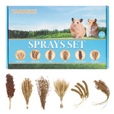 TAOKEKE hamster spray set with wheat sprays for foraging enrichment in cages