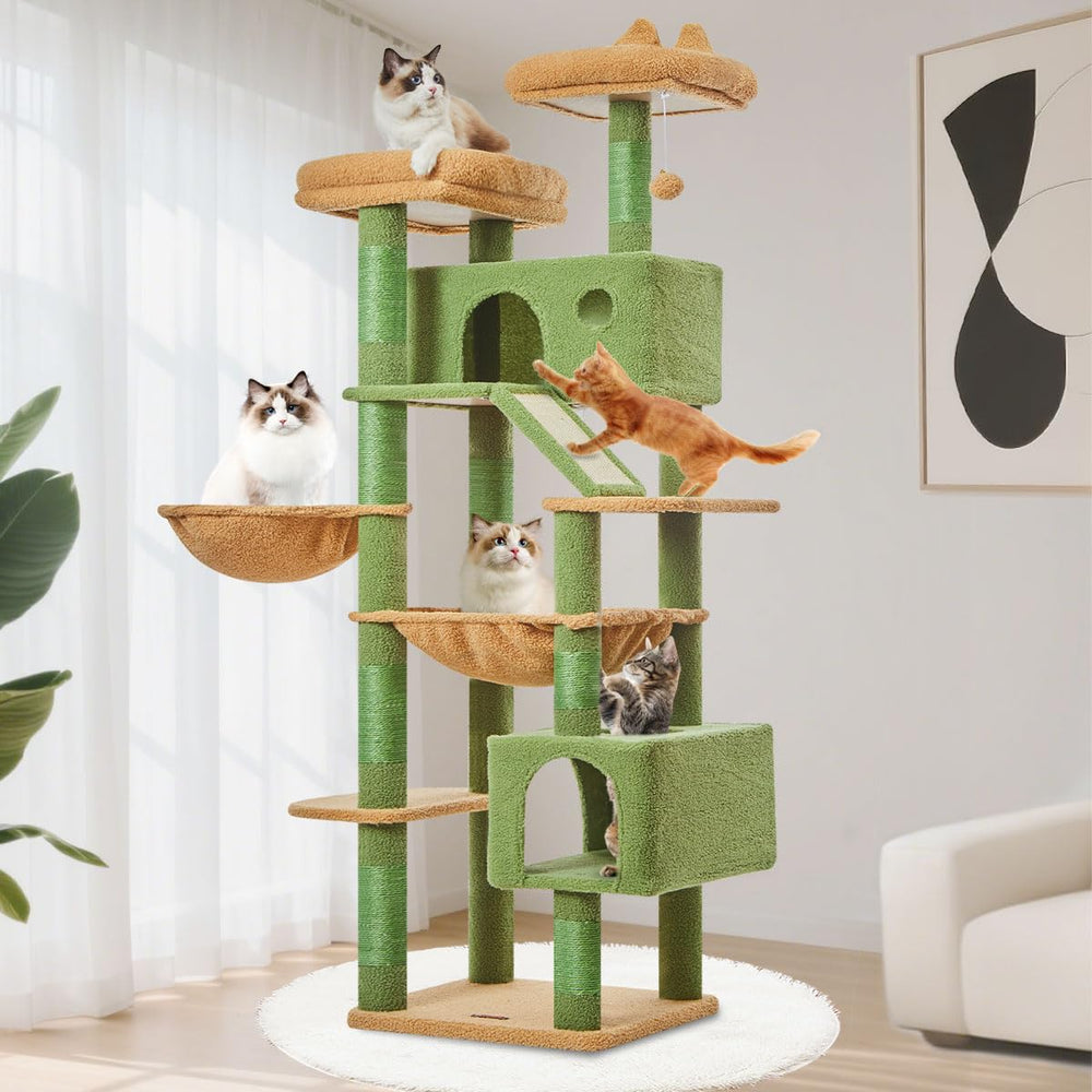 Taoqimiao Cactus Cat Tree assembled view showing tall multi-level structure for large cats