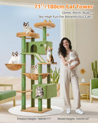 Taoqimiao Cactus Cat Tree hammock close-up highlighting wide resting area for naps
