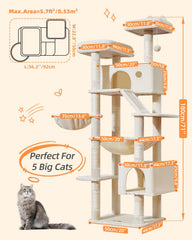Taoqimiao dual top perches offer elevated views for cats