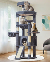 Taoqimiao MS045G top platform provides a high lookout perch for curious cats.