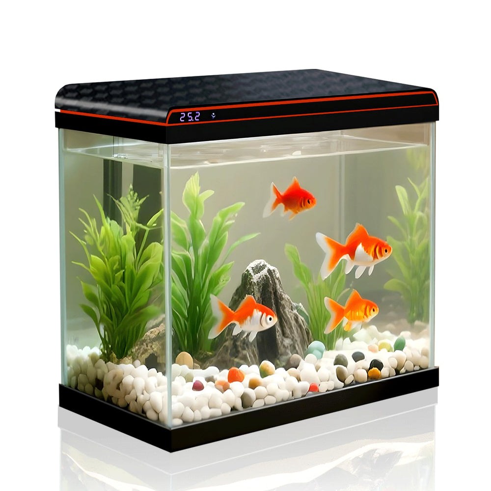 Tararium 5-gallon fish tank front view with crystal-clear glass for clear viewing