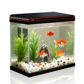 Tararium 5-gallon fish tank front view with crystal-clear glass for clear viewing
