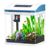 TARARIUM 2-Gallon Glass Tank front view ideal for desktop décor