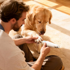 Taruphic fast charging indicator shows quick battery top-up between grooming sessions.
