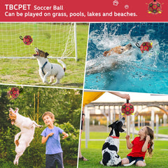 TBC PET soccer ball with durable nylon seams for easy fetch and toss