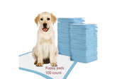 TBM Puppy Pads 100 Count pack for easy indoor training and quick cleanup.