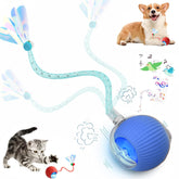 Tchernt Speed 2.0 tail interactive cat toy blue ball close-up for energetic indoor play.
