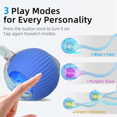 Tchernt Speed 2.0 blue-light fast mode demonstrates quick, engaging play for active felines.